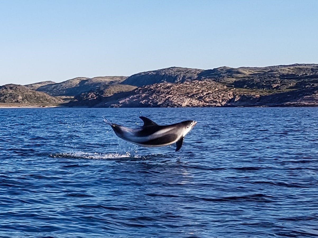 Баренцево море