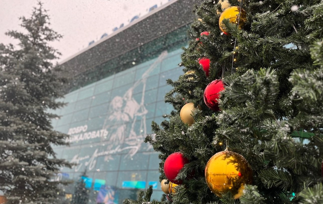 Московский аэропорт Домодедово