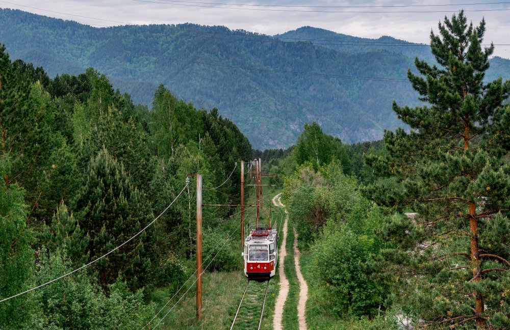 Фото shutterstock.com