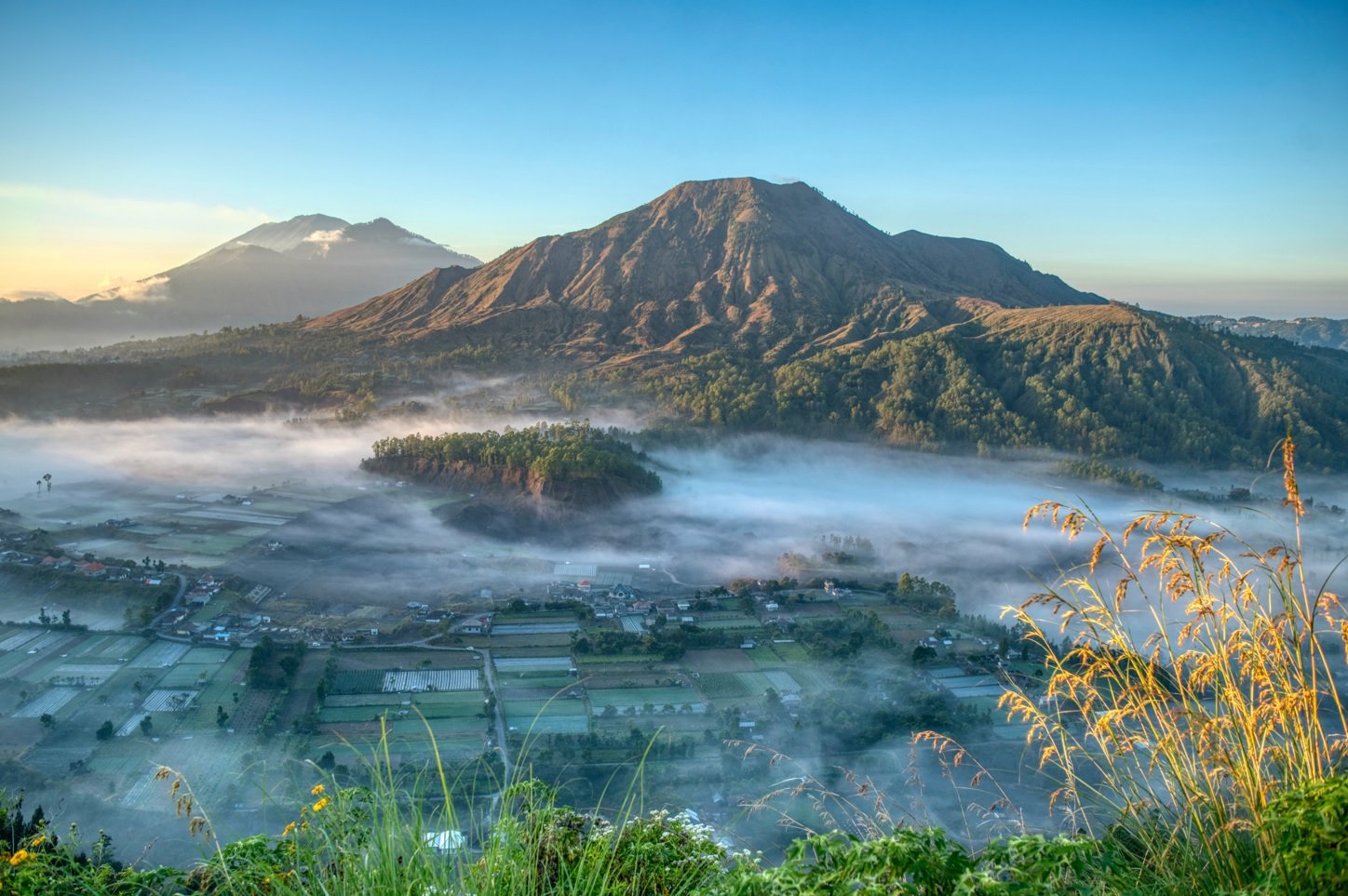 Фото: shutterstock.com