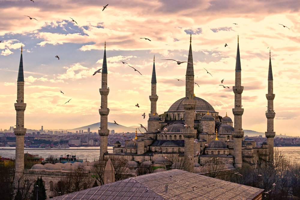 Фото: shutterstock.com
